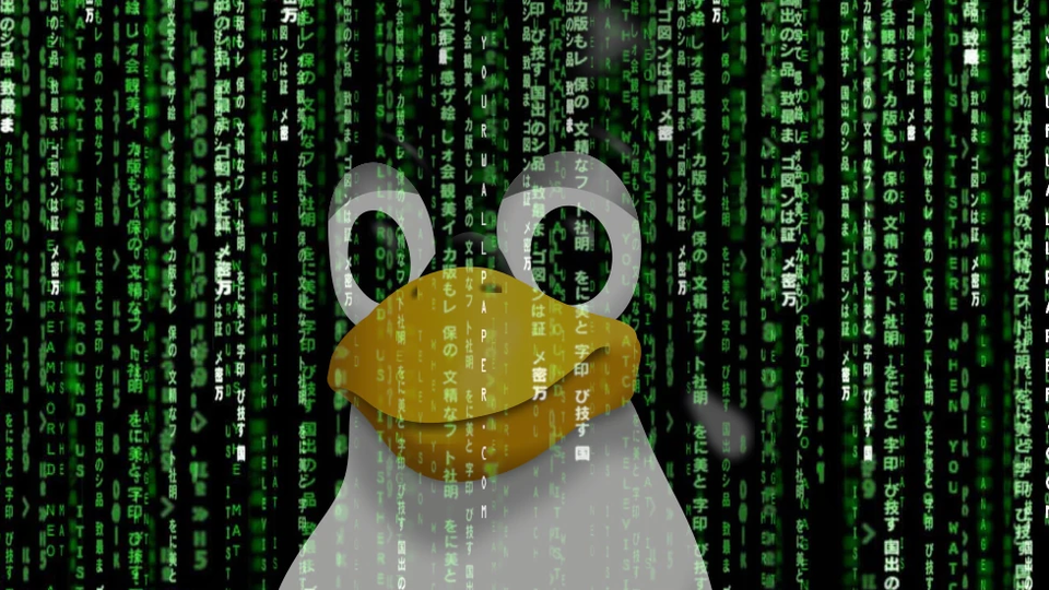 Ядро Linux готовится удалить 55 000 строк кода старых 32-битных Arm-платформ