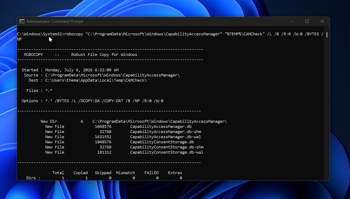 CapabilityAccessManager