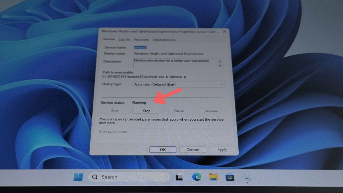 Microsoft опровергла вирусный слух о тайной слежке Windows 11