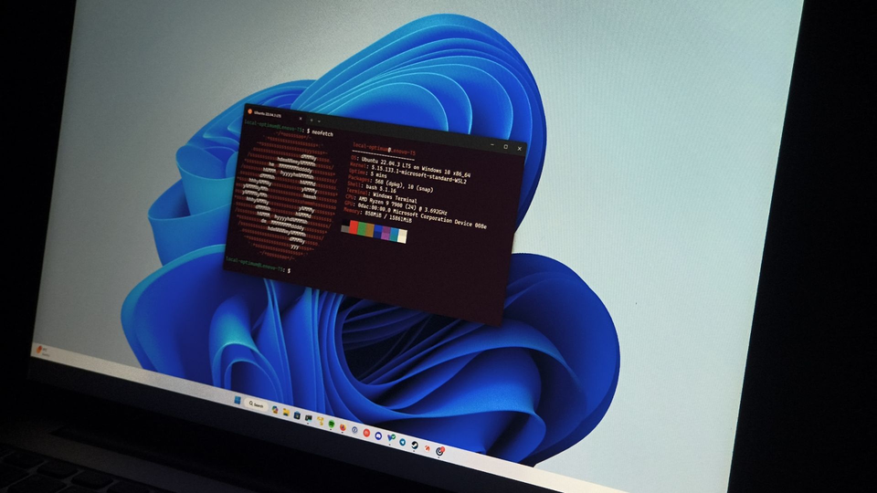 Canonical заявила, что Ubuntu быстрее растёт на Windows 11, чем на обычных Linux-ПК