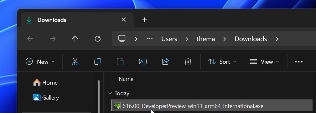 Драйвер N1X Spark для Windows 11