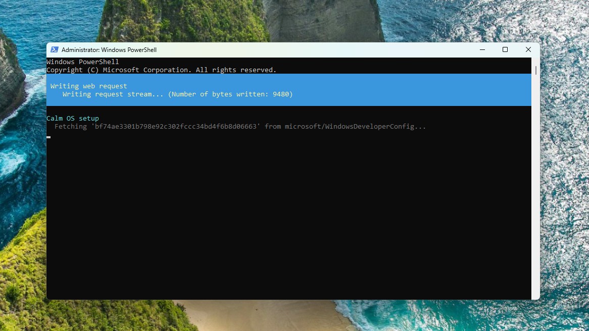 Начинается настройка Calm OS