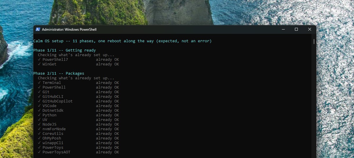 Пакеты, которые устанавливает Windows Developer Config.