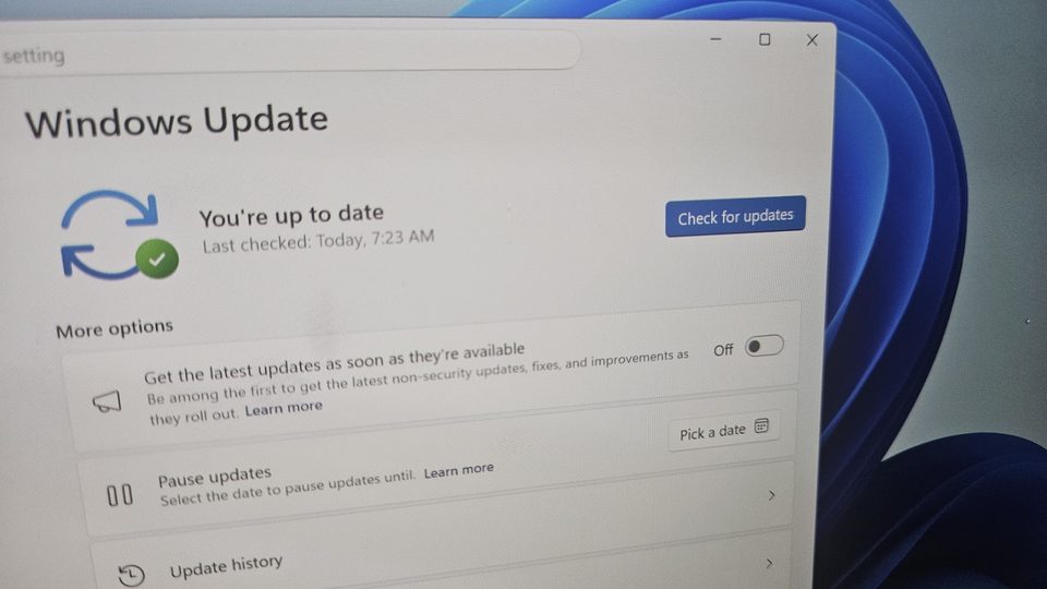 Переключатель ранних обновлений в Windows 11 устанавливает ненужные обновления. Как его отключить