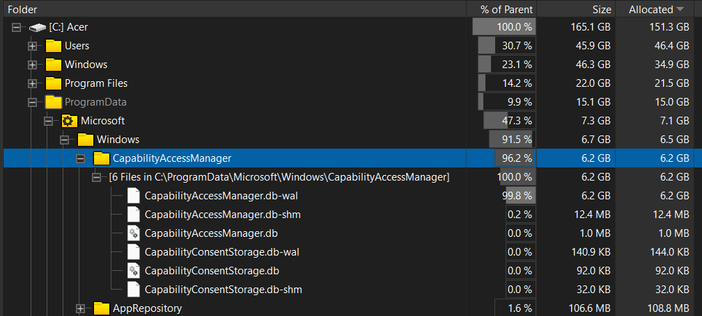 Использование файла CapabilityAccessManager