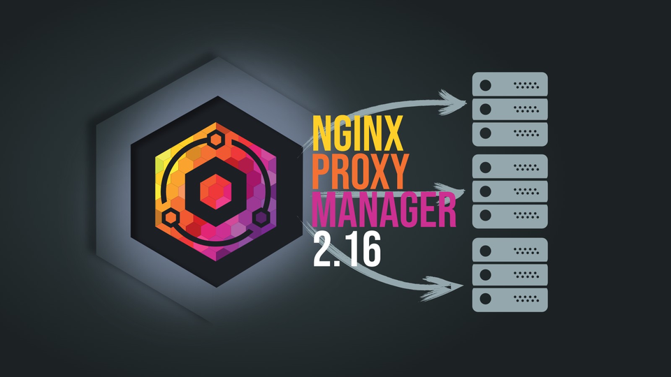 В Nginx Proxy Manager 2.16 появился встроенный просмотр логов