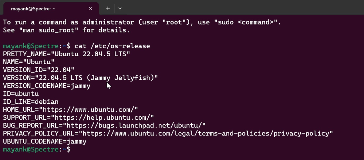 Ubuntu включается автоматически при настройке Project Zenith