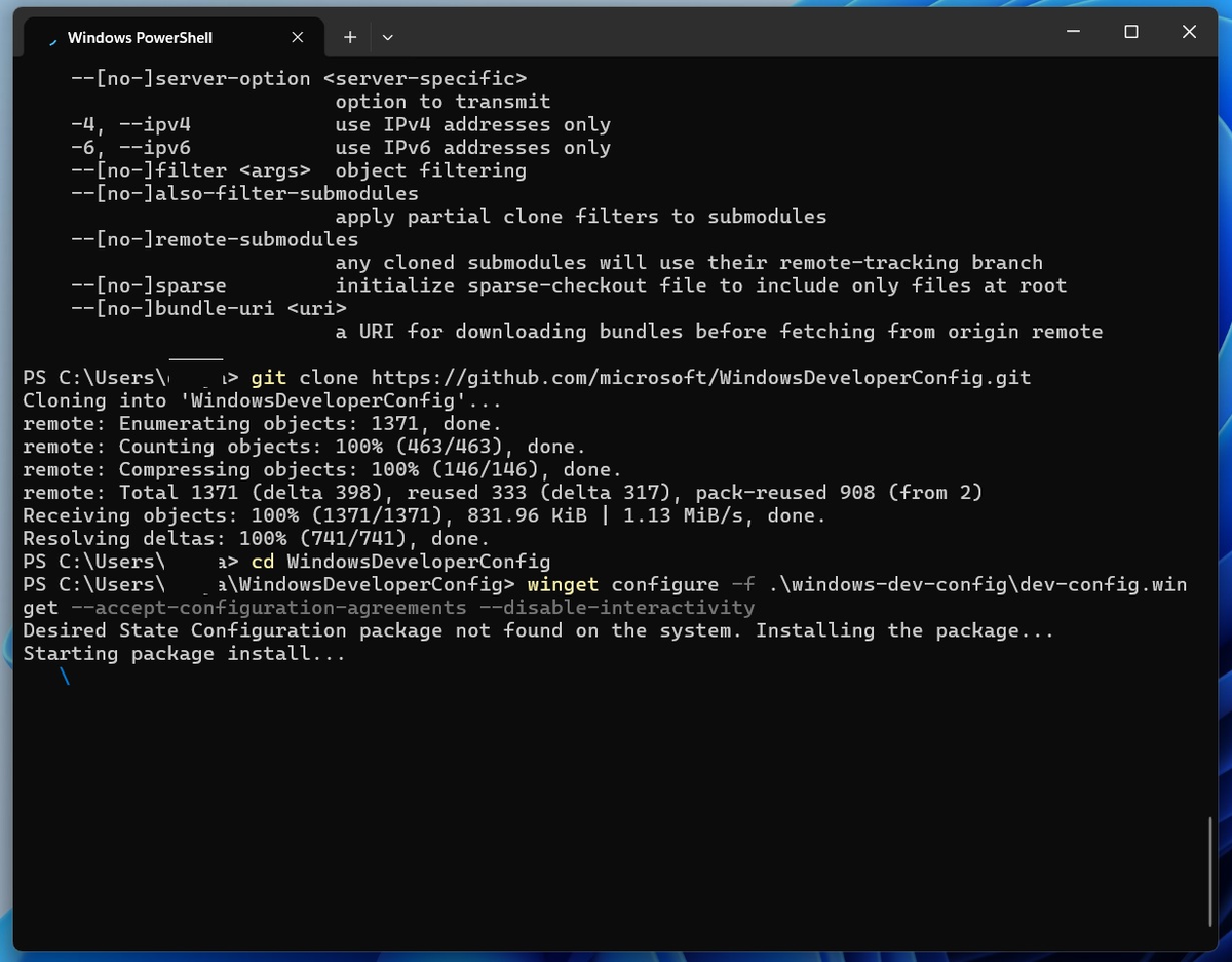 WindowsDeveloperConfig.git в терминале