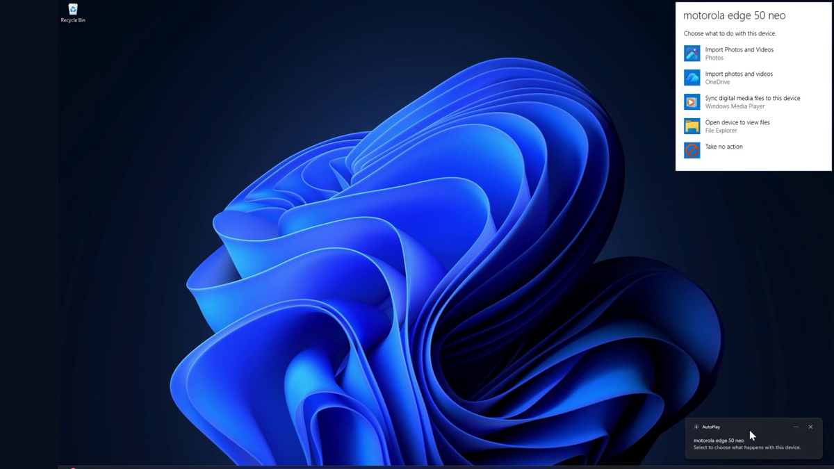 AutoPlay в Windows 11
