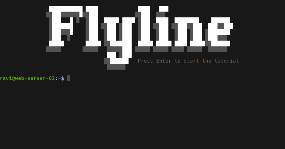 Интерактивное руководство Flyline
