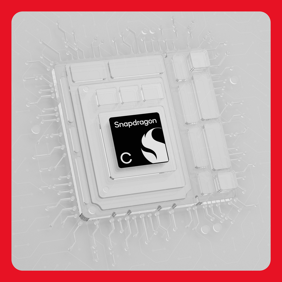 Snapdragon C