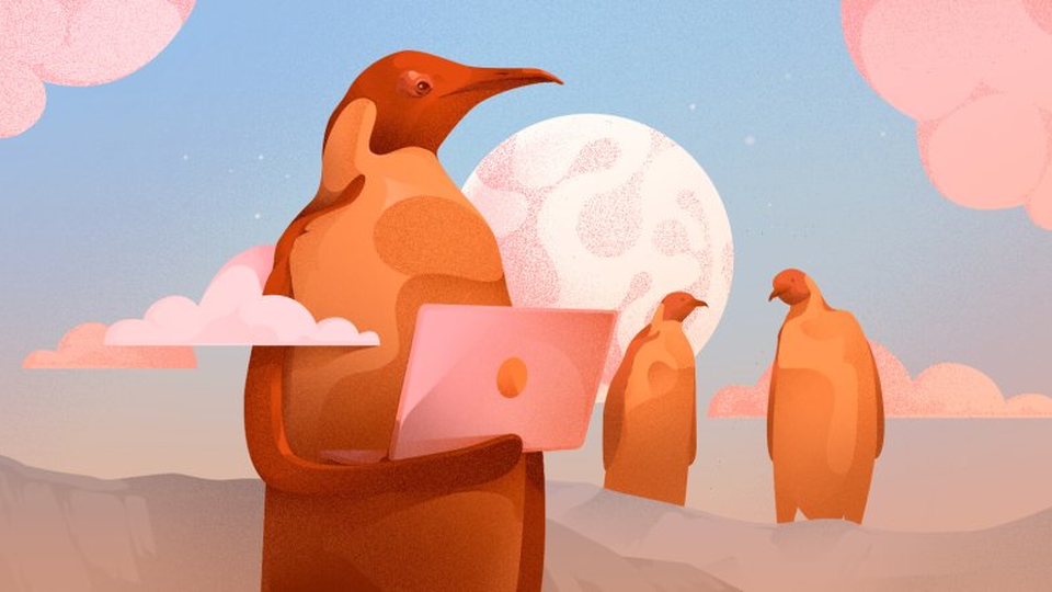 Ubuntu 24.04 получила раздельные пакеты прошивок для ускорения обновлений