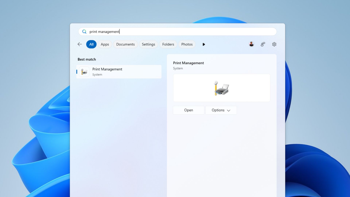 Управление печатью в поиске Windows